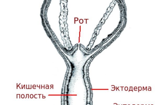 Kraken торговая площадка ссылка