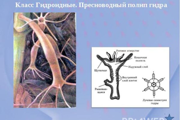 Кракен сайт 1kraken me вход
